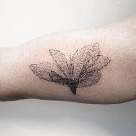 百合花纹身图：很简约的一组小百合花纹身图案
