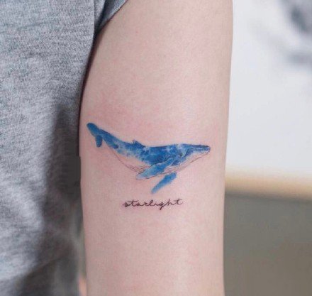 小清新的一组海豚鲸鱼小清新纹身作品