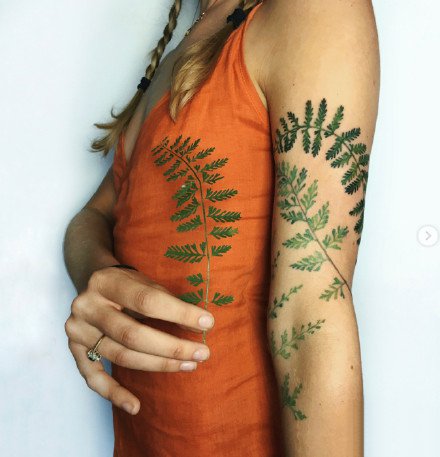植物花卉纹身：27张鲜艳的彩色花卉植物纹身图案