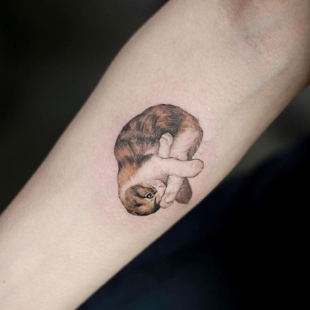 小清新猫纹身：狠可爱的一组小清新猫纹身图案