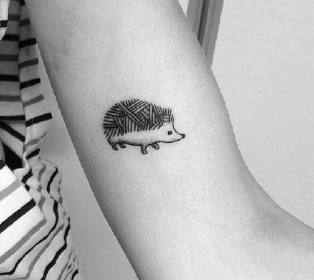 刺猬刺青：一组可爱的小刺猬纹身图片欣赏