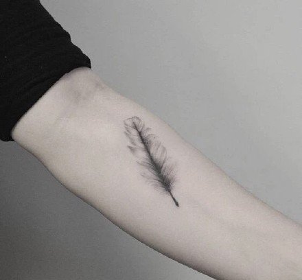 羽毛刺青：16张很漂亮的小清新羽毛纹身图案