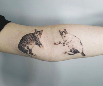 猫奴们喜欢的宠物小猫纹身图片欣赏