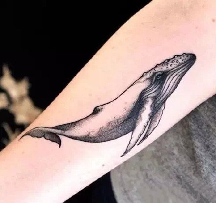 黑灰色的一组创意鲸鱼纹身图案