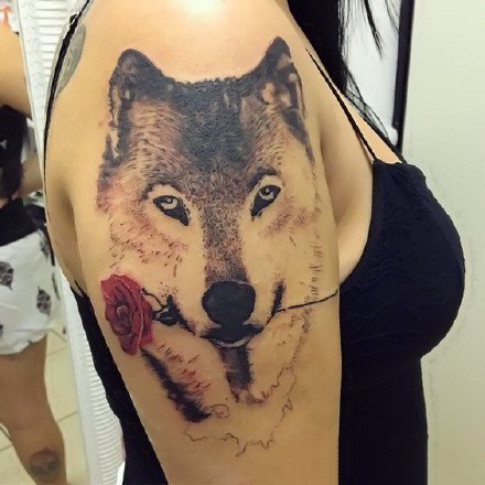 一组和狼头相关的狼纹身图片9张