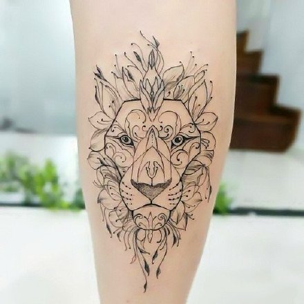 狮子线条：漂亮的一组适合狮子座的线条狮子纹身图案