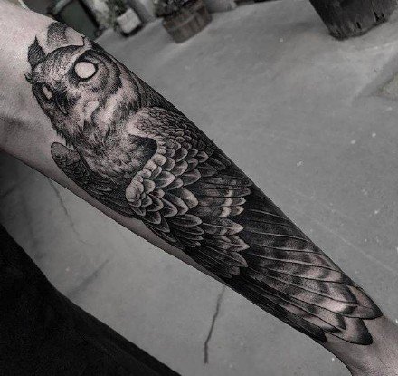 猫头鹰刺青：一组猫头鹰的手稿和纹身作品赏析