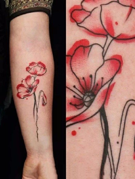 罂粟刺青：艳丽的一组红色罂粟花纹身图案