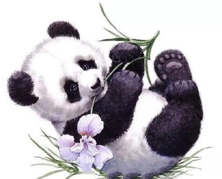萌萌哒的一组国宝熊猫的纹身手稿图案