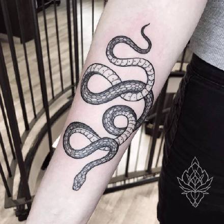 小蛇纹身：适合女士的一组黑灰纹身小蛇图案
