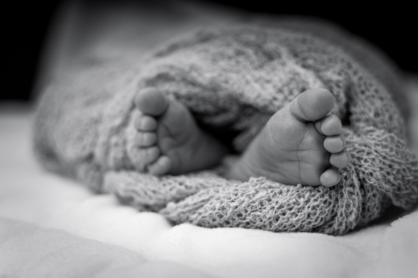 婴儿的小脚丫图片(10张)