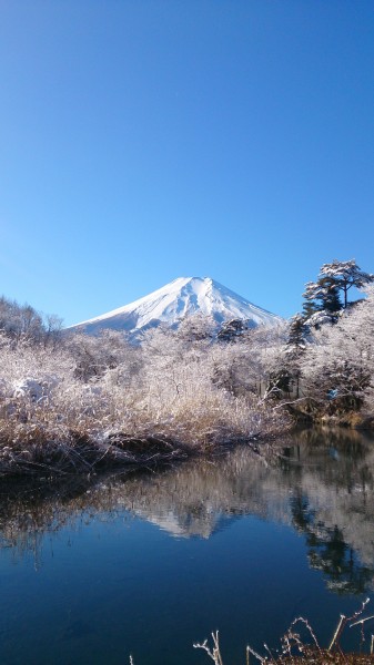 日本富士山图片(14张)