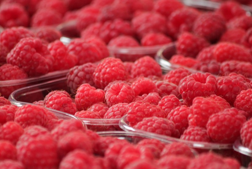 酸甜可口的红莓图片(13张)