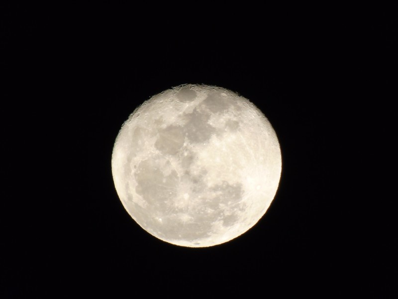 皎洁的月亮图片(14张)