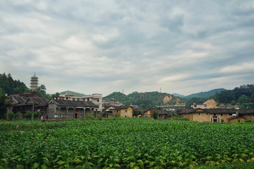 福建福州永定土楼建筑风景图片(18张)