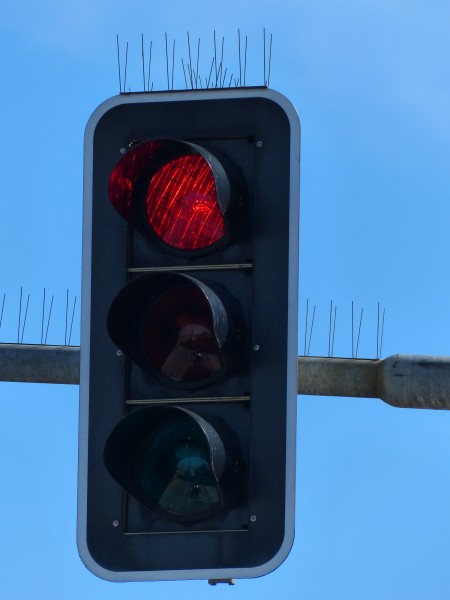 道路上的红绿灯图片(16张)