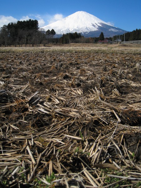 日本富士山图片(14张)