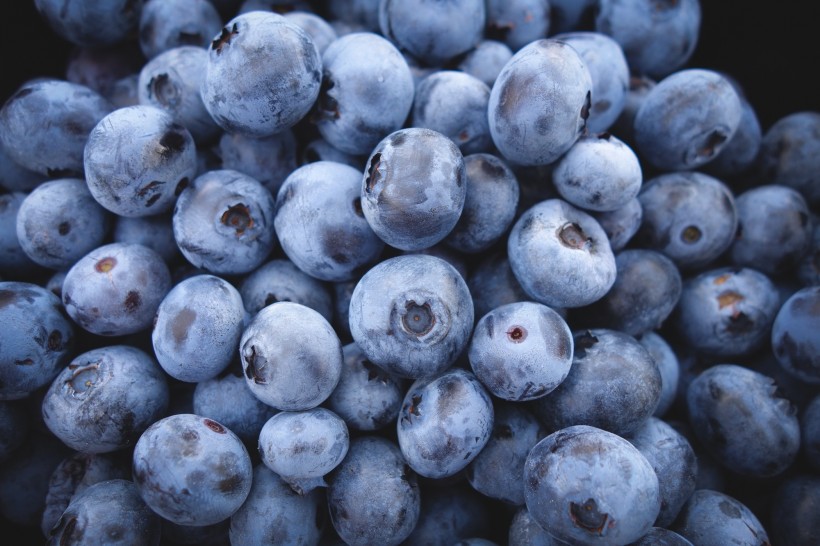 小巧精致的蓝莓图片(9张)