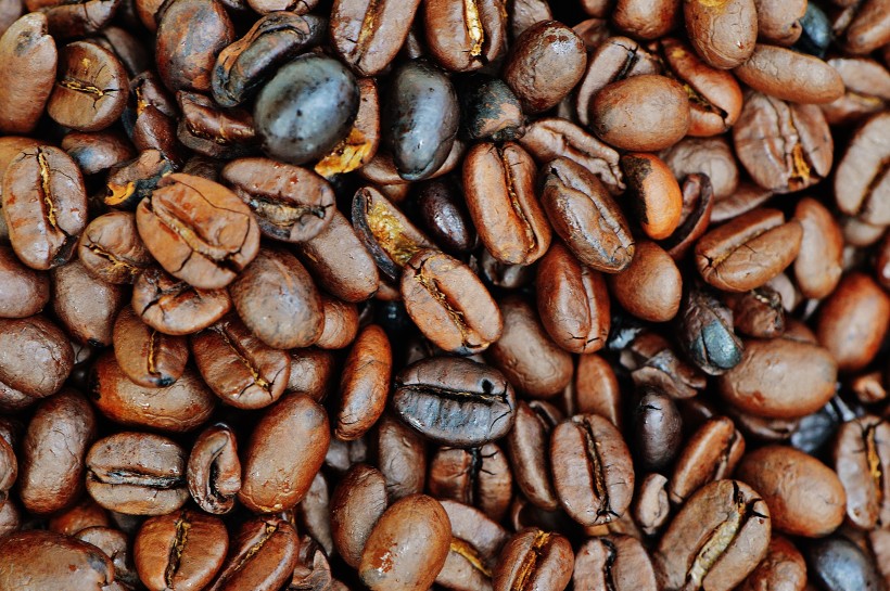 醇香的咖啡豆图片(15张)