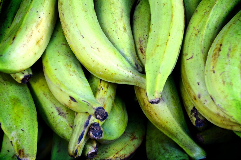新鲜美味的香蕉图片(13张)