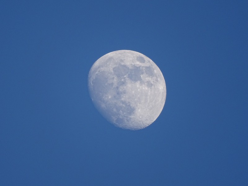 夜空中的月亮图片(13张)