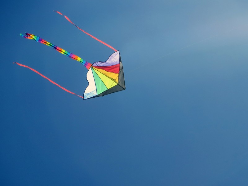 放飞的风筝图片(16张)