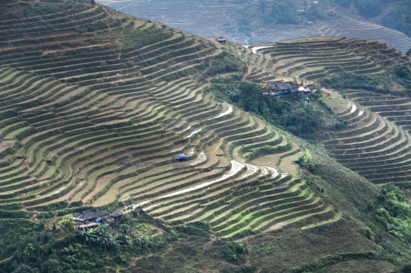 越南乡村田园风景图片(12张)