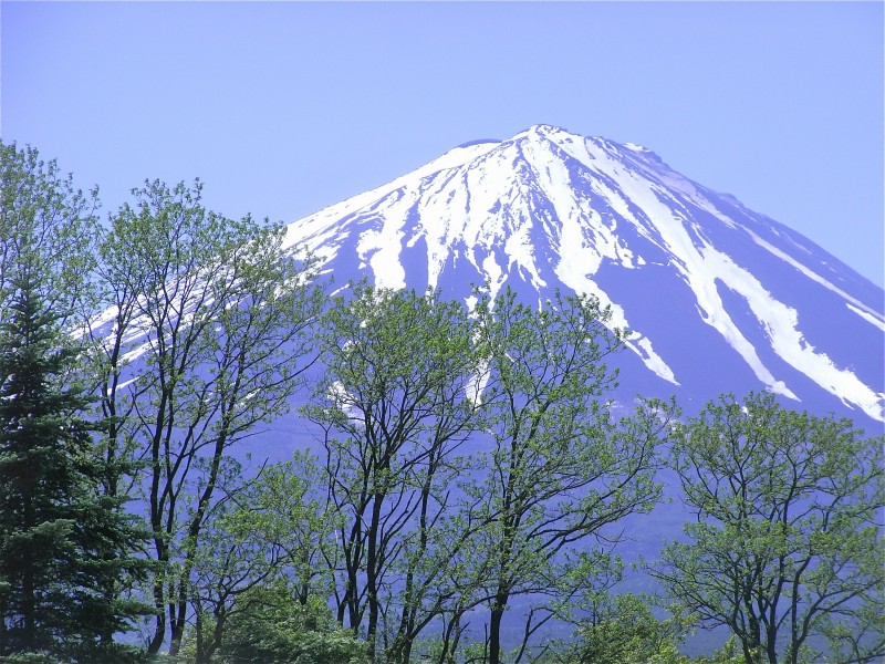 美丽的富士山图片(13张)