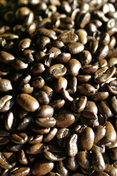 颗粒饱满的咖啡豆图片(15张)