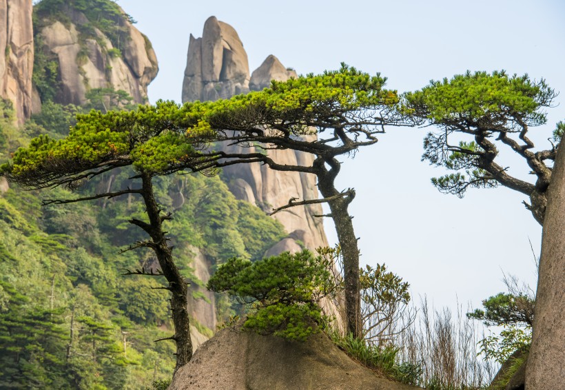 江西锦绣壮丽三清山风景图片(9张)