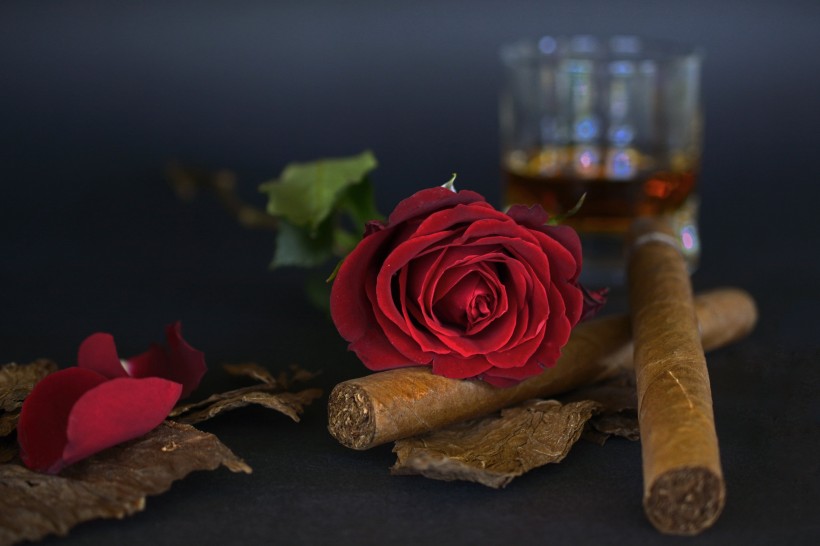 雪茄、玫瑰和啤酒放置一起图片(9张)