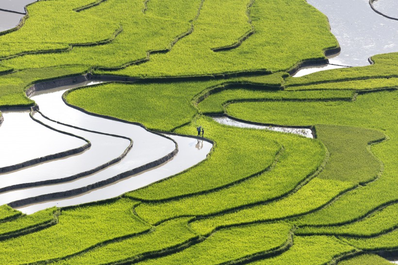 越南乡村田园风景图片(10张)