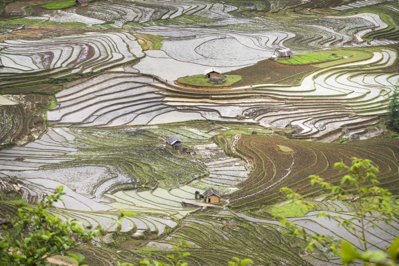 越南乡村田园风景图片(10张)