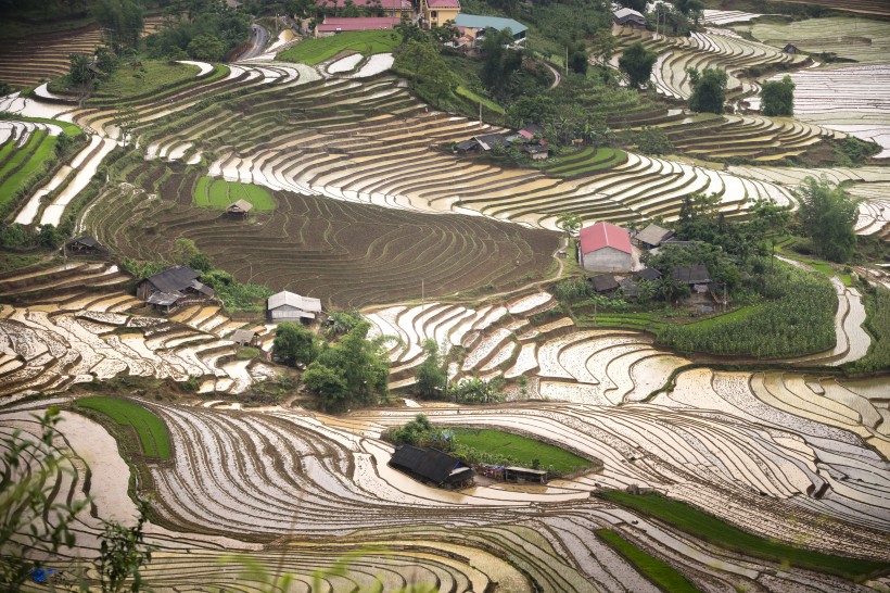 越南乡村田园风景图片(10张)