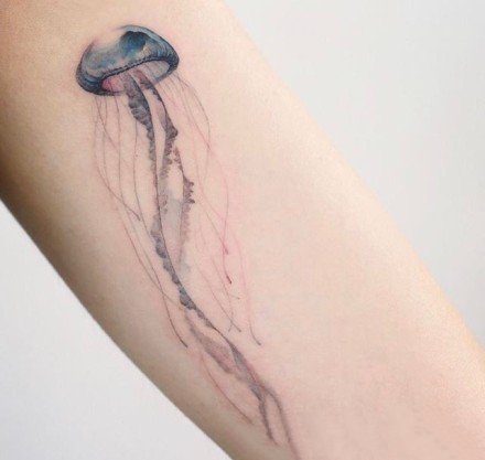 简约小清新的一组水母纹身图案