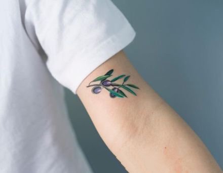 9张橄榄枝和果实的植物纹身图案