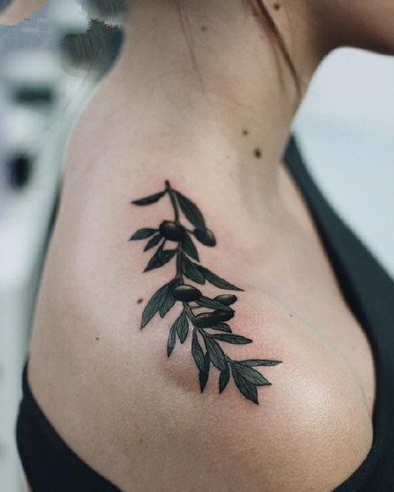 9张橄榄枝和果实的植物纹身图案