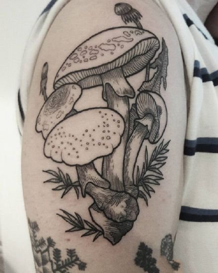 黑灰色的一组蘑菇植物纹身图