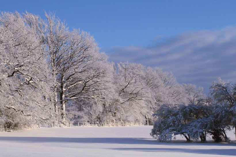 冬季唯美的森林雪景图片(16张)