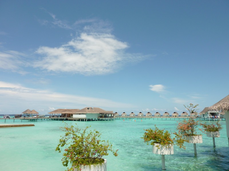 马尔代夫海边房屋风景图片(12张)