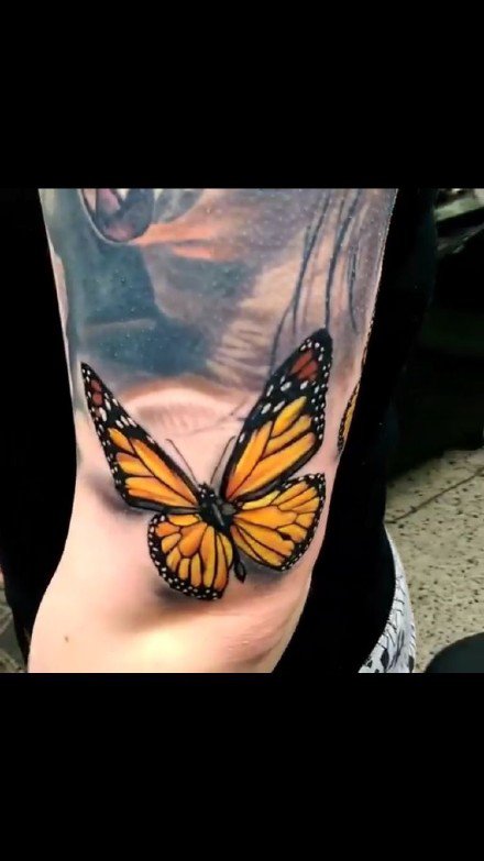 3d立体风格的一组蝴蝶纹身图案