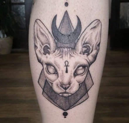 斯芬克斯猫的一组黑灰猫纹身图片