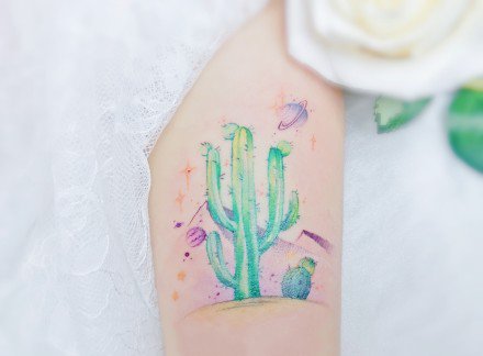 植物仙人掌的一组个性纹身图片