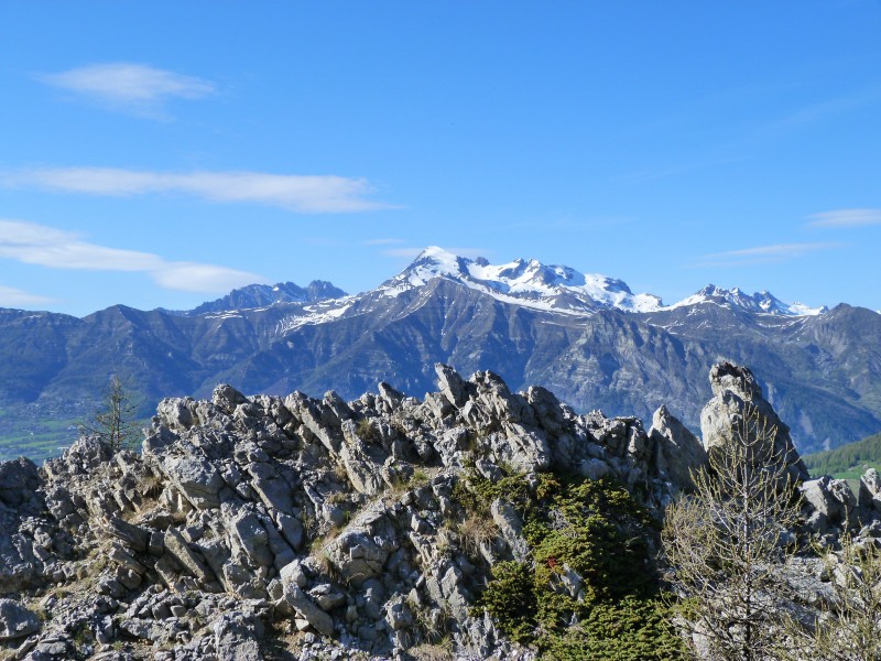 瑞士阿尔卑斯山风景图片(16张)