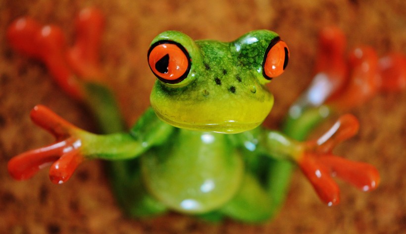 有趣的青蛙摆件图片(15张)