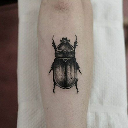 精致的一组小昆虫纹身图片