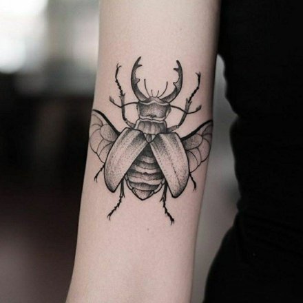 精致的一组小昆虫纹身图片
