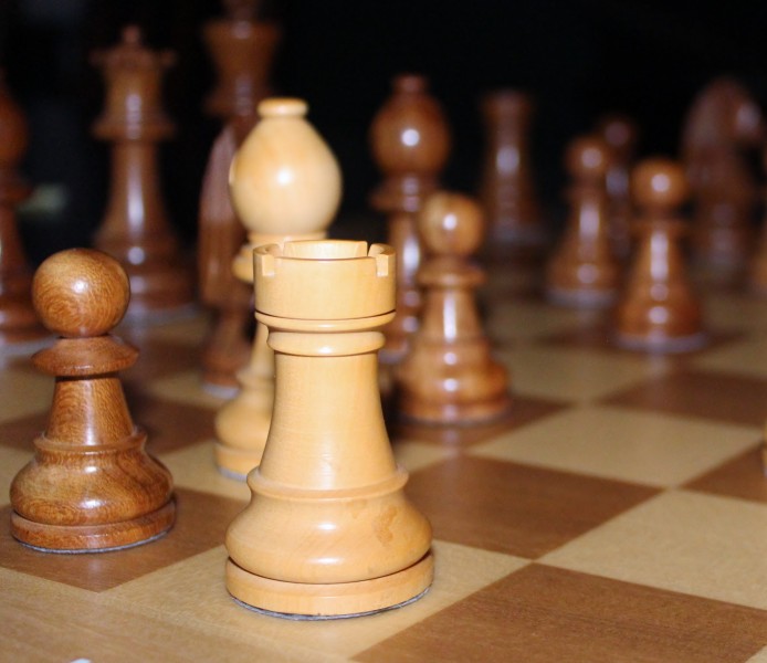 玩法多样的国际象棋图片(14张)