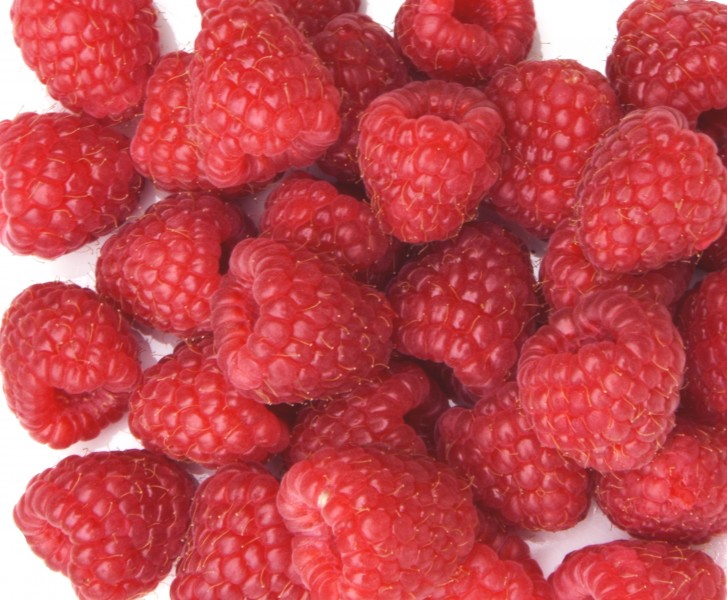 又红又甜的山莓图片(12张)