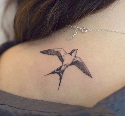 好看的一组简约燕子纹身图片